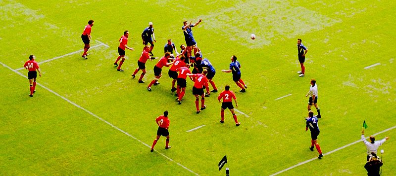 http://upload.wikimedia.org/wikipedia/commons/thumb/d/d7/Lineout-WvF-2004.jpg/800px-Lineout-WvF-2004.jpg