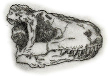 Lukousaurus yini.jpg