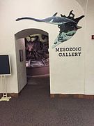 Entrance of Mesozoic Gallery