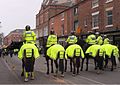 Polizeipferde mit Schutzkleidung