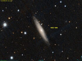 Image illustrative de l’article NGC 1686