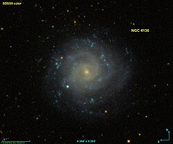 Выгляд NGC 4136