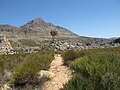 Landschaft im Cederberg Wilderness Area