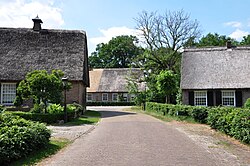 Thatched houses in Middendorp