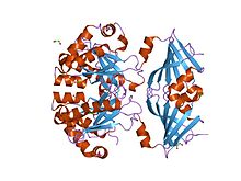 PDB 1vlr EBI.jpg