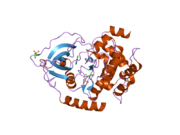 2uvx: STRUCTURE OF PKA-PKB CHIMERA COMPLEXED WITH 7-AZAINDOLE