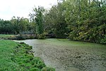 Le pont des Deux-Ponts.