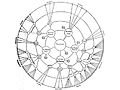 Radial tree - Graphic Statistics in Management, 1924