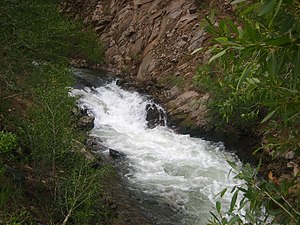 Red River of New Mexico Picture 2010.jpg