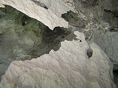Il calcare eroso a lama di coltello nella grotta dei Fantasmi