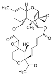 Satratoxin F