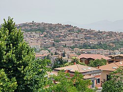 Segni