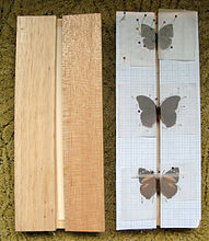 Расправилка для расправления крыльев бабочек