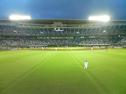 from the outfield bleachers