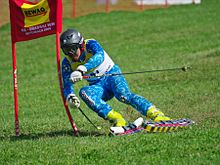 Tetsuya Yashima im Riesenslalom der WM 2009