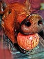 dongo kan lechon