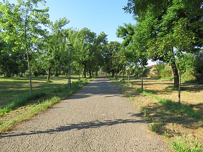 Le parc en été.