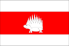 Bandeira de Vícov