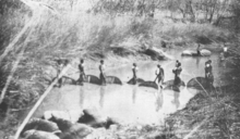 Batonga fisherwomen in Southern Zambia. Women have played and continue to play pivotal roles in many African societies. Batonga women.png