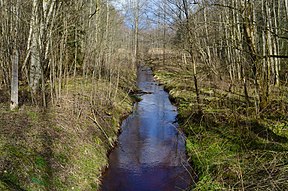 Beržuona šalia Beržoniškio