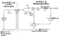 于2012年4月15号 (日) 23:06个缩图版本