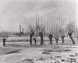 Bords de l’Oise, effet de neige