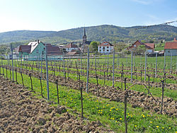 Skyline of Cleebourg