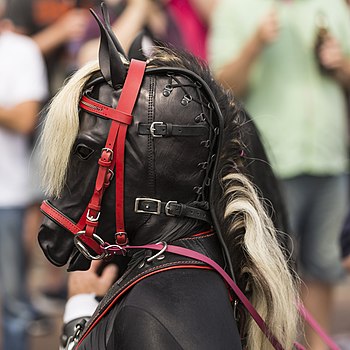 Pripadnik LGBT populacije sa fetišem konja (Parada ponosa u Kelnu, Nemačka)