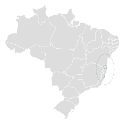 Distribución geográfica del cotinga maculado.