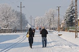 Csány in de winter