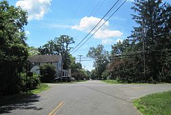 Ellisdale from Province Line Road