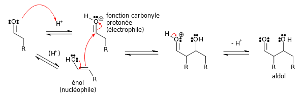 Mécanisme de la réaction aldolique d'un aldéhyde avec lui-même en catalyse acide.