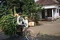 Фермер на велосипеді-роадстері, який використовується для перевезення вантажів в Індонезії.