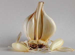മലയാളം: Garlic