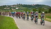 Miniatura pro Giro d'Italia 2021
