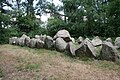 Großsteingrab Kleinenkneten 2