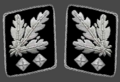 Gorget patch 1942–1945 (Allgemeine SS dan Waffen-SS)
