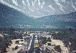 A freight train passing through Darling