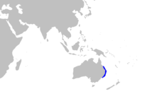 Range of the crested bullhead shark
