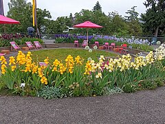 Iris-Farbkreis (Rosenobelgärten)