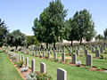 Jerusalem British War Cemetery