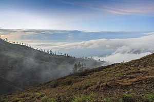 Kawah-Ijen Indonesia Morning-fog-at-the-slopes-of-the-volcano-01.jpg