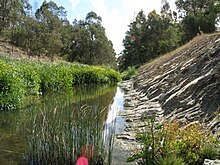 Koonung Creek West of Blackburn Road.JPG