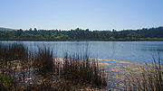 Miniatura para Reserva nacional Laguna Torca