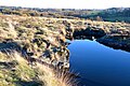 Lande de Saint-Laurent, La Roche-l'Abeille (8 novembre 2015)