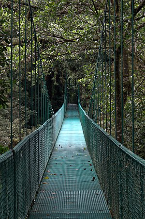 English: suspension bridge in Selvatura Park, ...