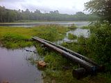 Pachaug Trail – Wiclcabouet Marsh, Voluntown, CT.