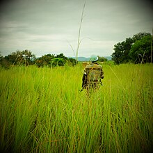 UN peacekeepers in action against Bakata Katanga in 2014 Photo of the Day, 13 February 2014 (12502032163).jpg