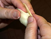 Pierogi preparation 10.JPG