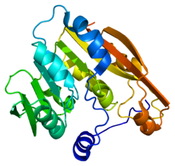 Protein TPMT PDB 2bzg.png